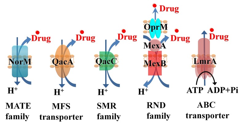 Fig. (1)