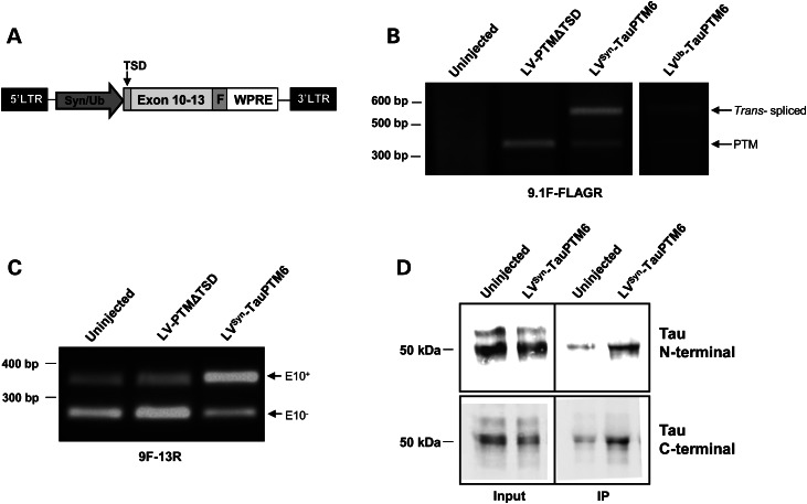 Figure 6.