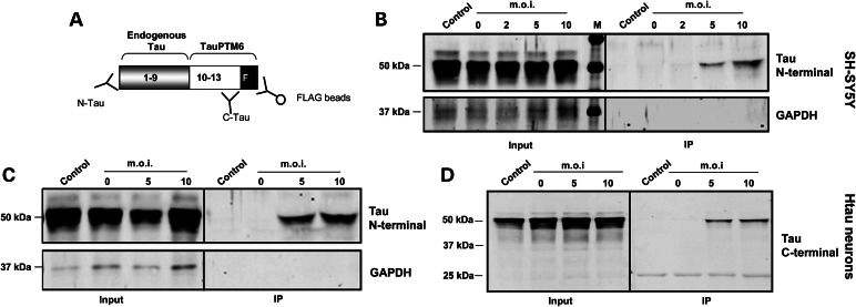 Figure 5.