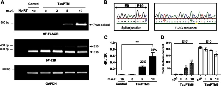 Figure 4.