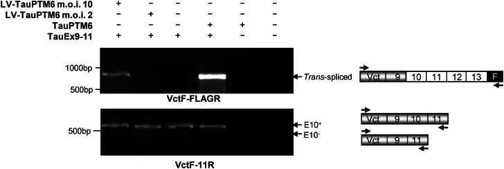 Figure 2.