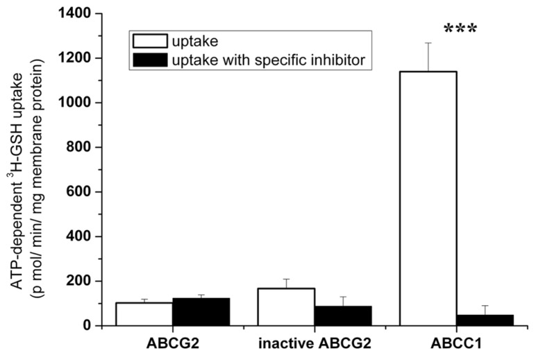 FIGURE 7