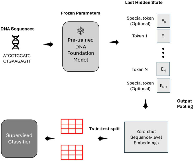 Figure 1: