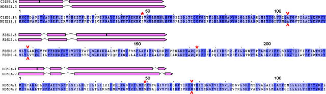 Figure 3.—