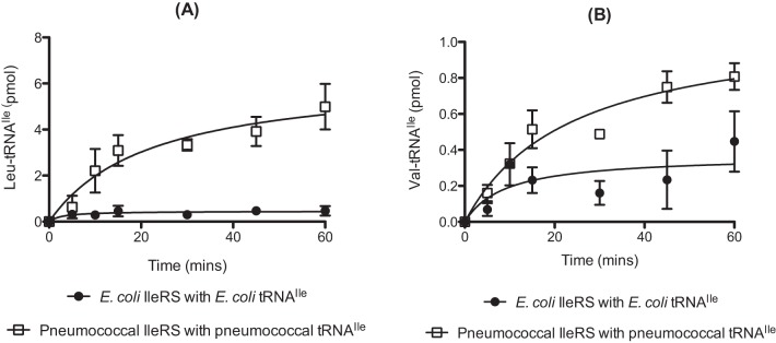 FIG 6 