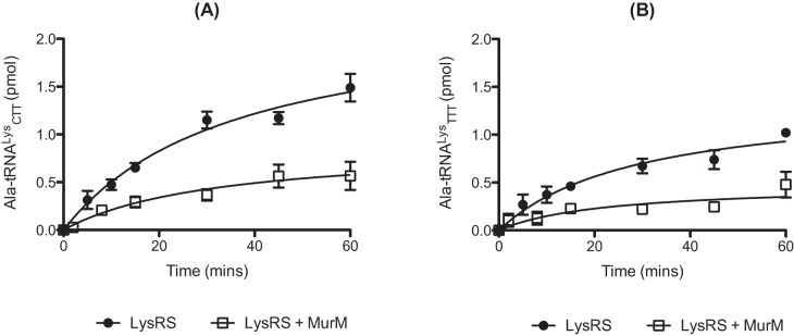 FIG 4 