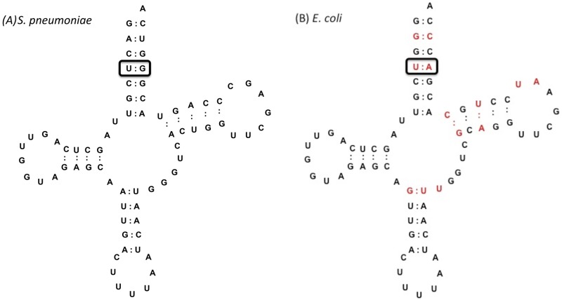 FIG 2 