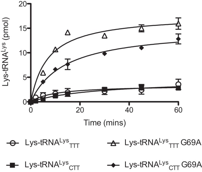 FIG 3 