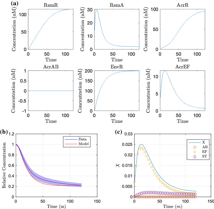 Fig. 10