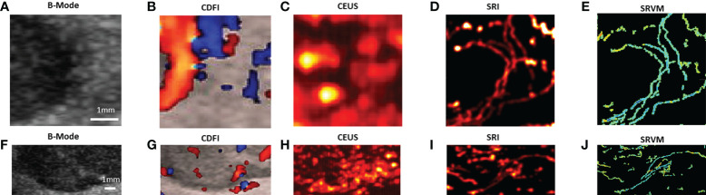 Figure 4