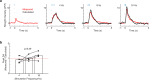 Figure 1—figure supplement 1.