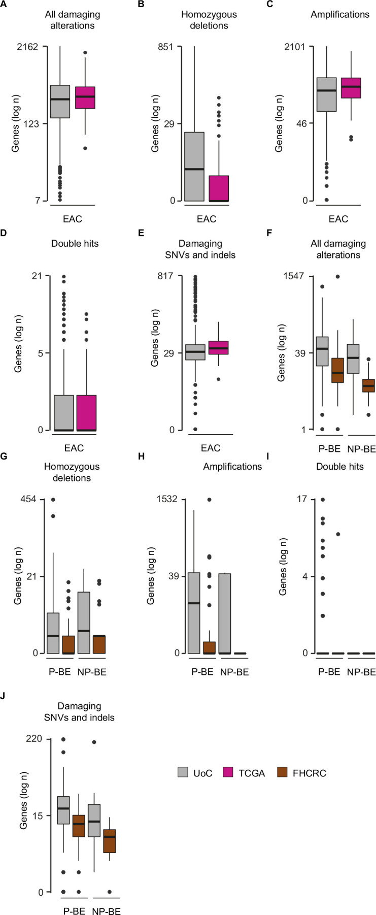Extended Data Fig. 1