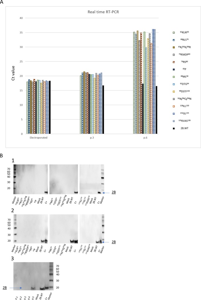 FIG 6