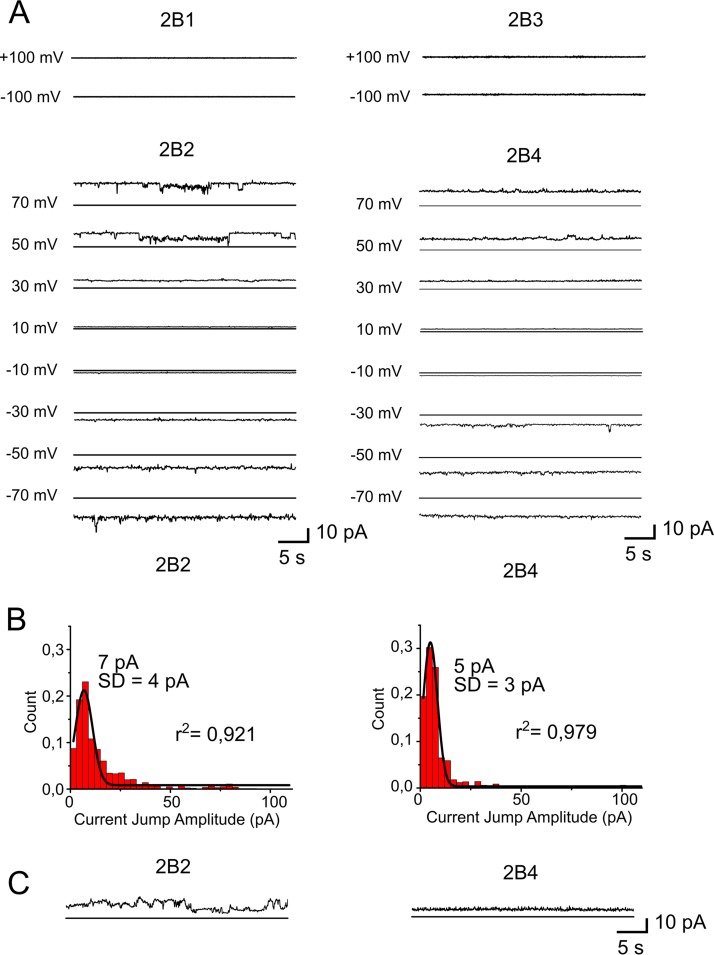 FIG 2