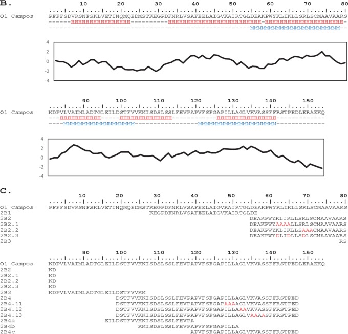 FIG 1