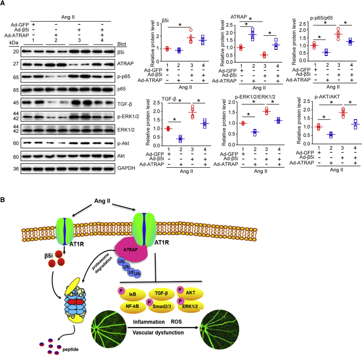 Figure 6