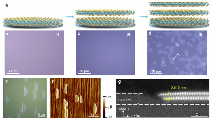 Figure 16