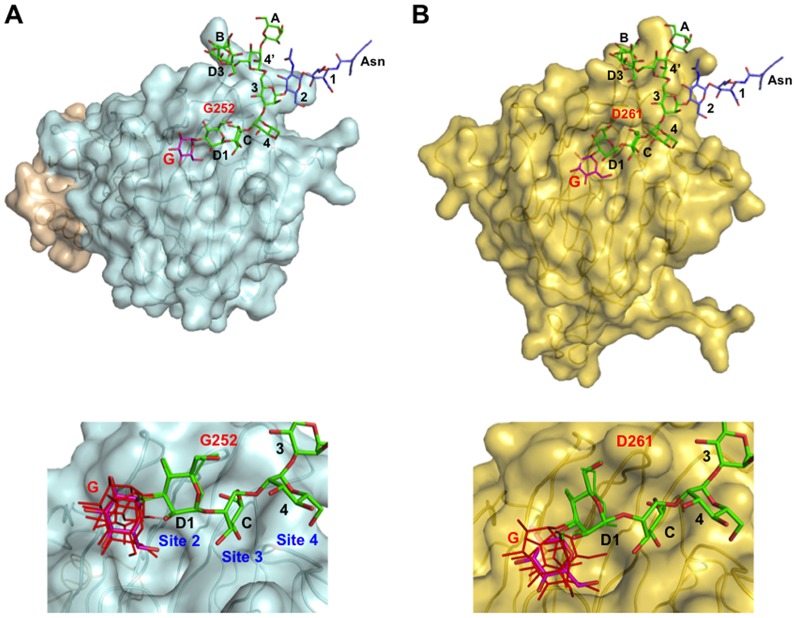 Figure 4