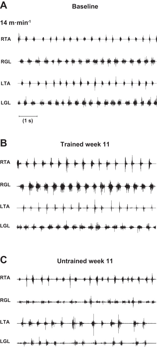 Fig. 10.