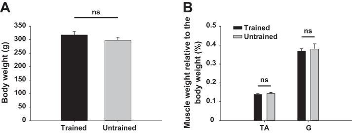 Fig. 11.