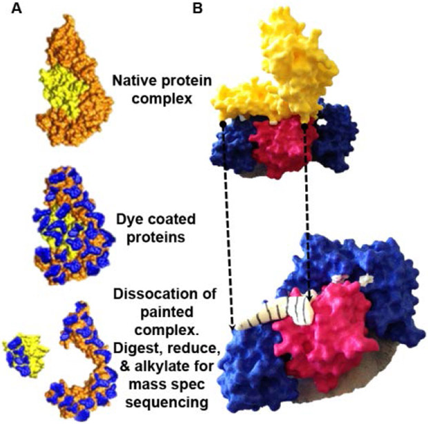 Figure 3.