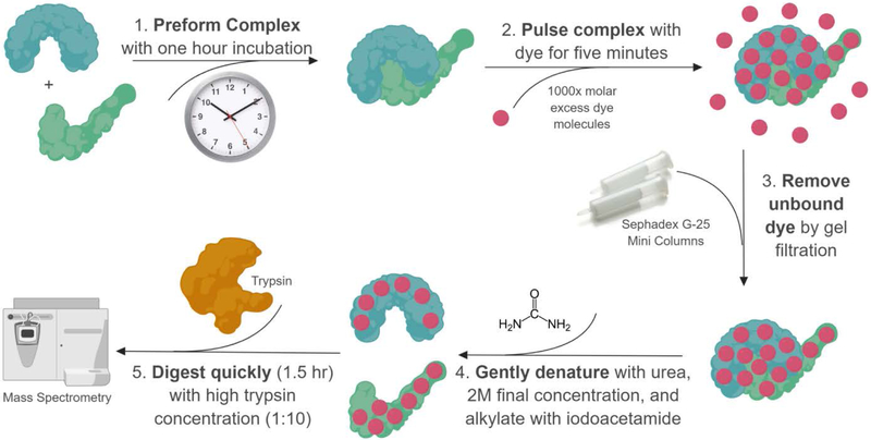 Figure 4.