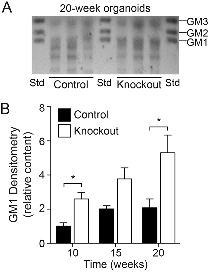 Fig. 3