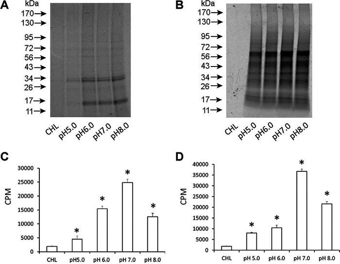 FIG 3