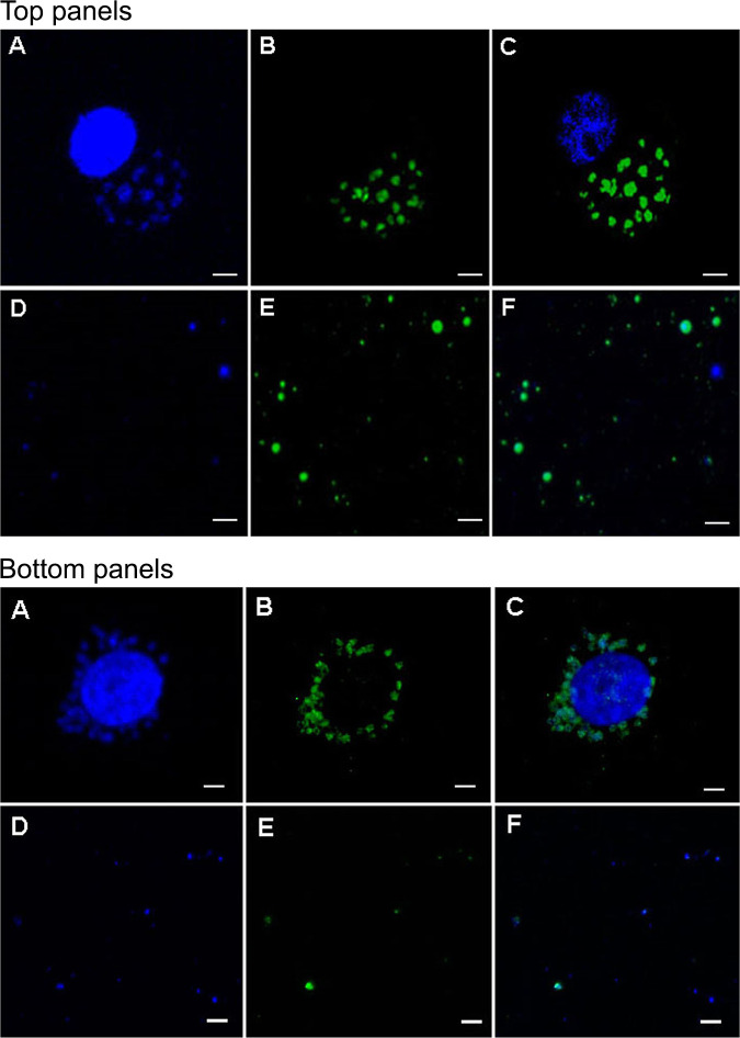 FIG 1