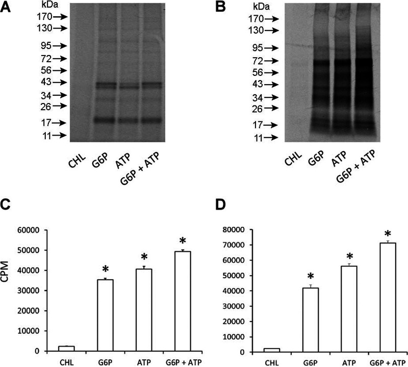 FIG 2