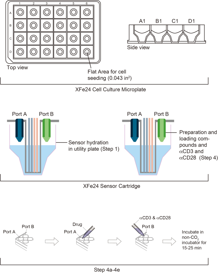 Figure 3