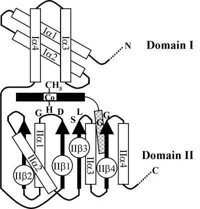 FIG. 4.