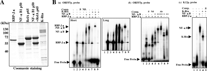 FIG. 5.