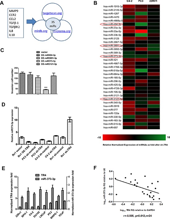 TR4 nuclear receptor increases prostate cancer invasion via decreasing ...