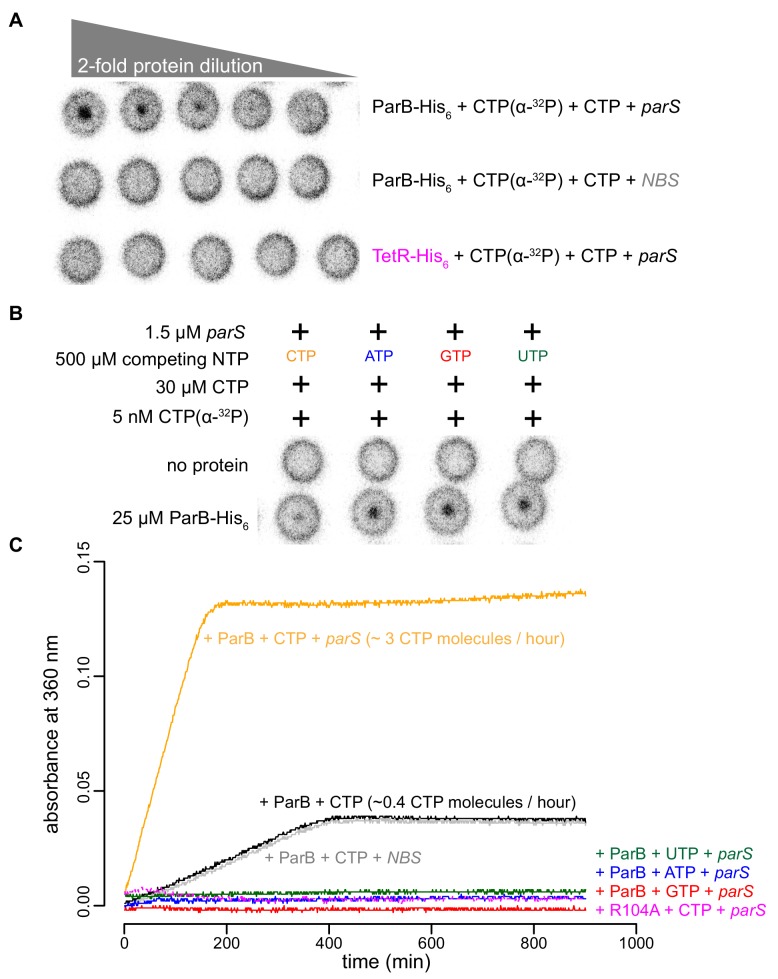 Figure 5.