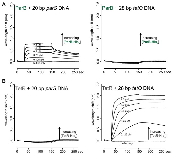 Figure 1—figure supplement 1.