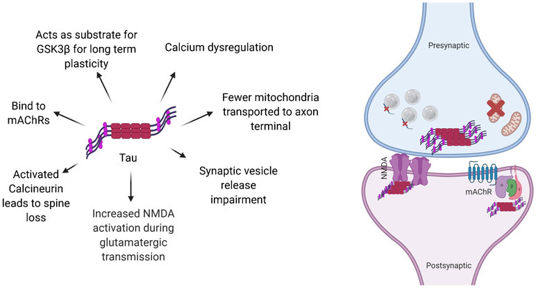 Figure 6.