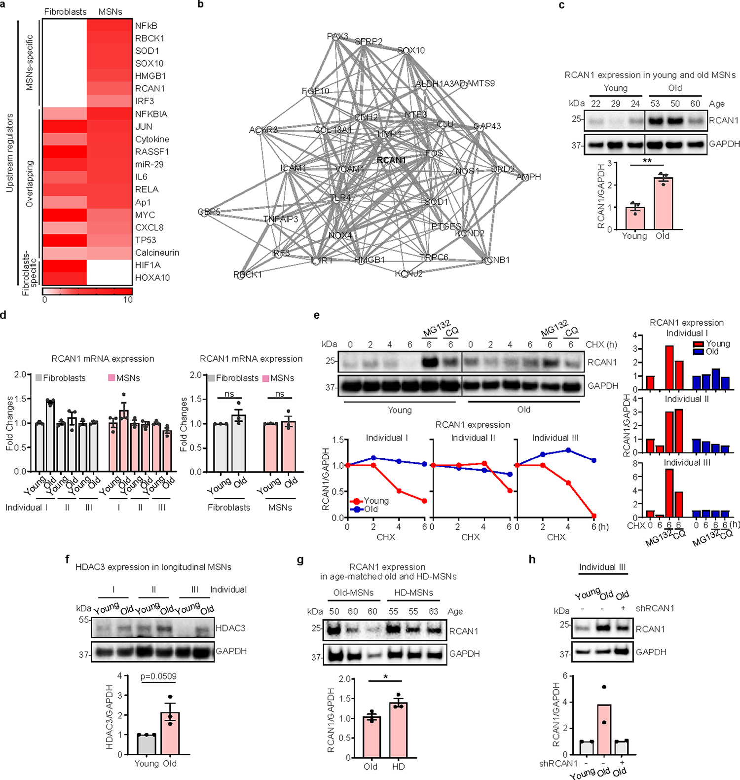 Extended Data Fig. 2 |