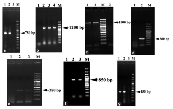 Figure-6