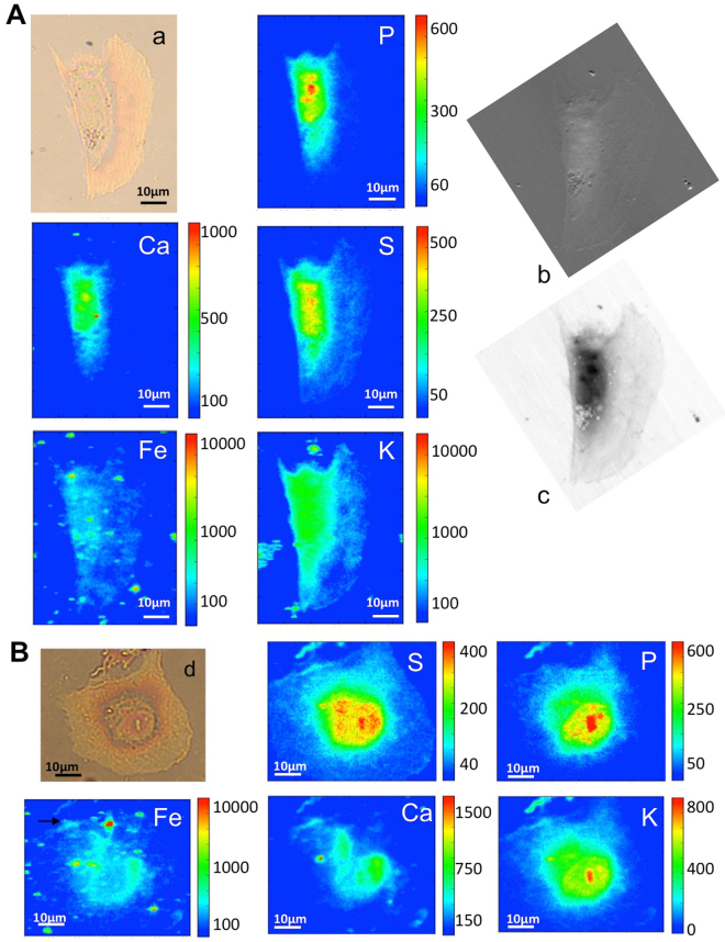 Figure 6