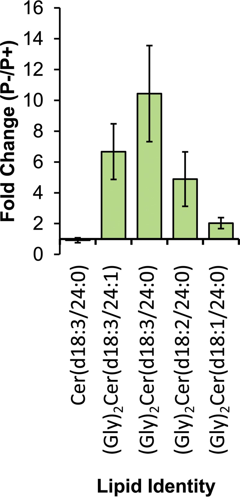 FIG 5