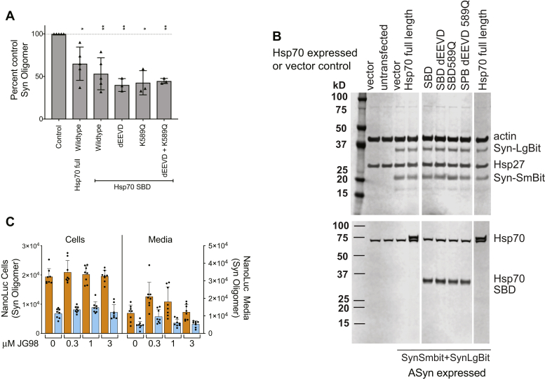 Figure 6