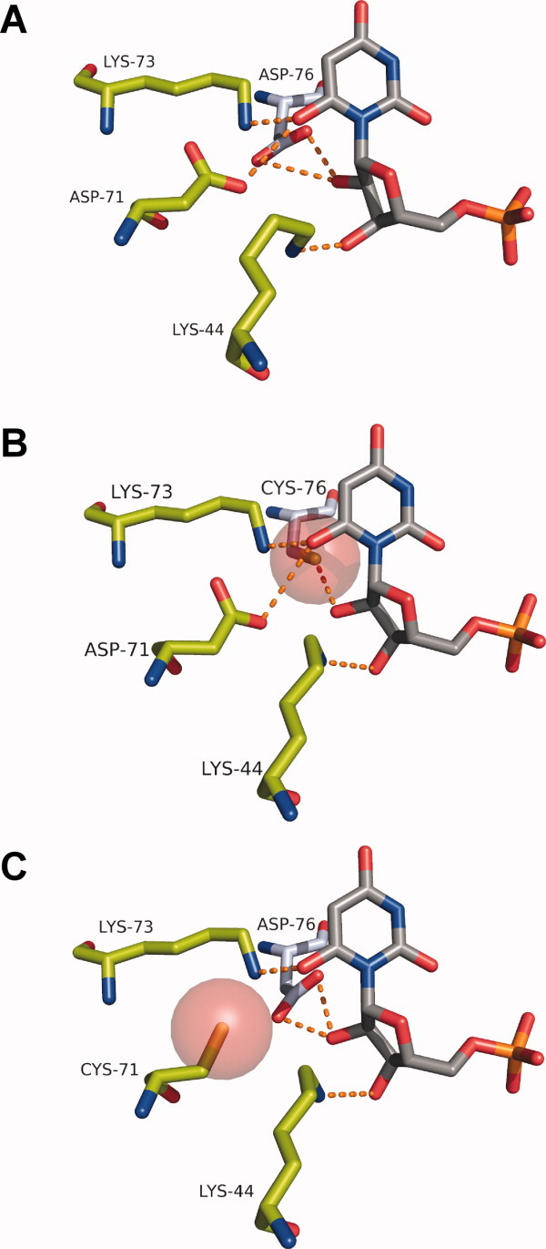 Figure 7