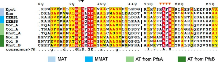 Figure 6.