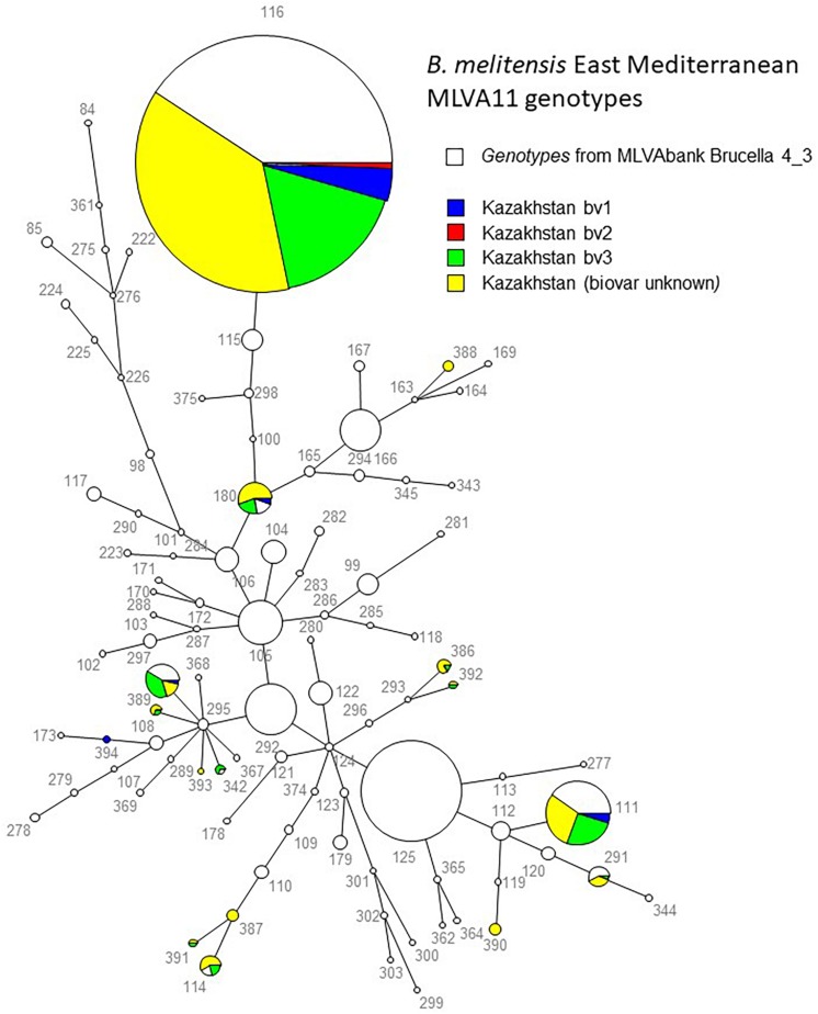 FIGURE 1