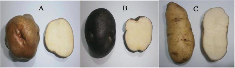 Fig. 1