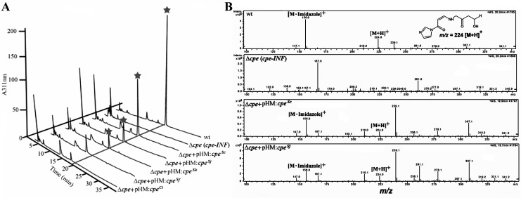 Fig 5