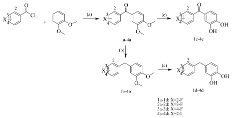 Scheme 1