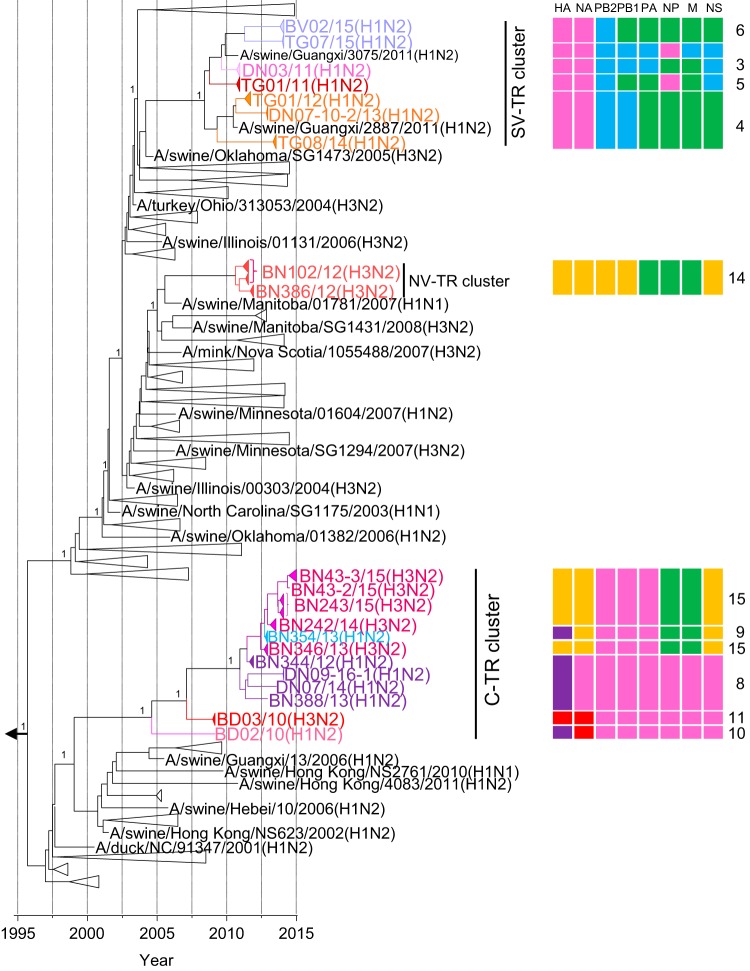 FIG 6