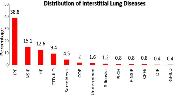 Fig.1